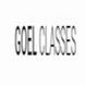 Goel Classes For Ca